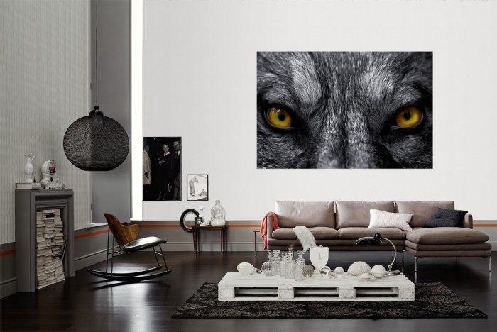 Die Fototapete Wolf im Blick als Wandbild im Wohnzimmer. Die Vlies-Fototapete Wolf im Blick verschönert als Wandbild Deine Wand.