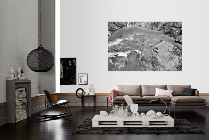 Die Fototapete Baumkrone, schwarz-weiß als Wandbild im Wohnzimmer. Die Vlies-Fototapete Baumkrone, schwarz-weiß verschönert als Wandbild Deine Wand.