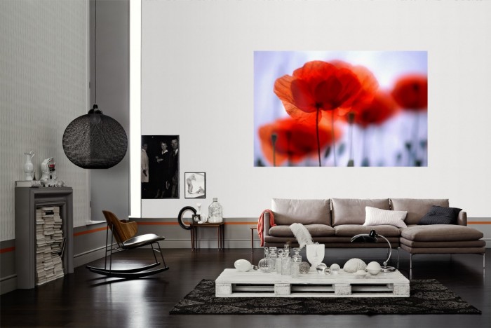 Die Fototapete Mohn Blumen als Wandbild im Wohnzimmer. Die Vlies-Fototapete Mohn Blumen verschönert als Wandbild Deine Wand.