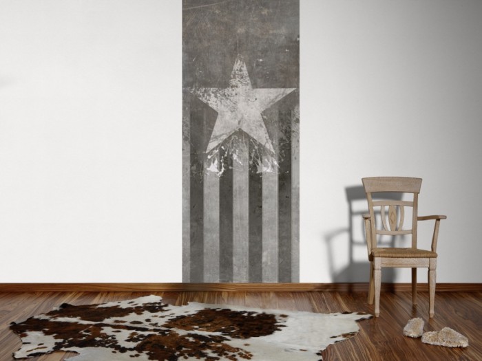 Ein Foto von dem Design-Fotopanel New York, Star & Stripes Dark von Michalsky tapeziert an der Wand. Bestelle Deine Bildtapete online.