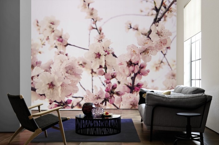 Im Wohnzimmer die Fototapete Kirschblütenast im Frühling auf einer großen Wand tapeziert. Die Fototapete Kirschblütenast im Frühling ist als Vlies-Fototapete im Wohnzimmer leicht zu tapezieren.
