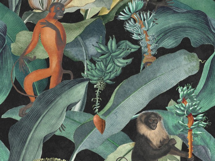 Detailansicht der Selected Walls Tapete Kingston Monkeys Wallpaper Col. 01