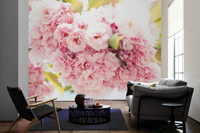Im Wohnzimmer die Fototapete Kirschblüten im Frühling auf einer großen Wand tapeziert. Die Fototapete Kirschblüten im Frühling ist als Vlies-Fototapete im Wohnzimmer leicht zu tapezieren.
