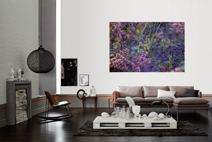 Die Fototapete Blüten im sommerlichen Morgentau als Wandbild im Wohnzimmer. Die Vlies-Fototapete Blüten im sommerlichen Morgentau verschönert als Wandbild Deine Wand.