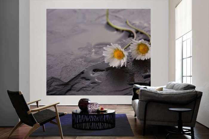 Die Fototapete Kamillenblüten auf Schieferstein als große Bildtapete im Wohnzimmer. Als Bildtapete ist die Fototapete Kamillenblüten auf Schieferstein ein besonderes Highlight auf Vliestapete.