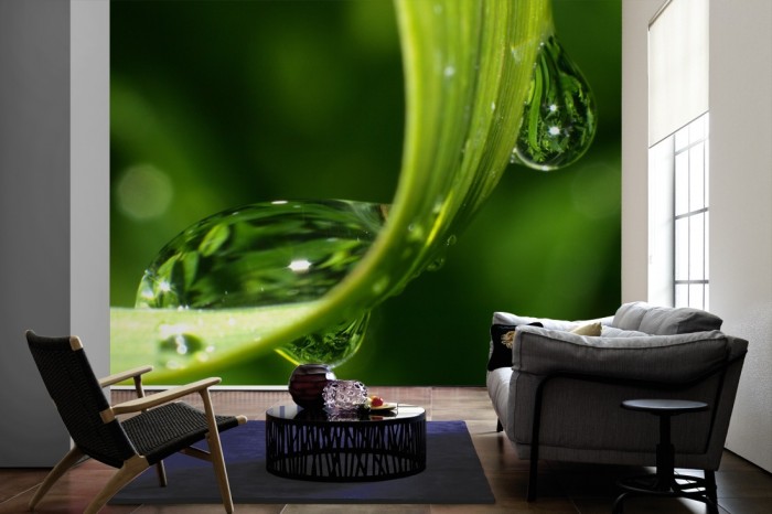 Im Wohnzimmer die Fototapete Wassertropfen auf Grashalm auf einer großen Wand tapeziert. Die Fototapete Wassertropfen auf Grashalm ist als Vlies-Fototapete im Wohnzimmer leicht zu tapezieren.