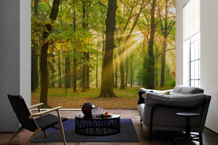 Im Wohnzimmer die Fototapete Wald im Herbst, Eichenwald auf einer großen Wand tapeziert. Die Fototapete Wald im Herbst, Eichenwald ist als Vlies-Fototapete im Wohnzimmer leicht zu tapezieren.