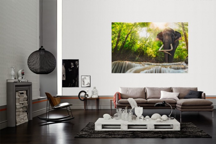 Die Fototapete Elefant im Urwald als Wandbild im Wohnzimmer. Die Vlies-Fototapete Elefant im Urwald verschönert als Wandbild Deine Wand.