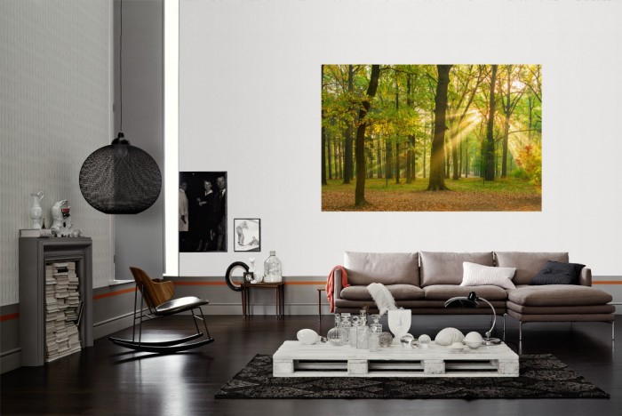 Die Fototapete Wald im Herbst, Eichenwald als Wandbild im Wohnzimmer. Die Vlies-Fototapete Wald im Herbst, Eichenwald verschönert als Wandbild Deine Wand.