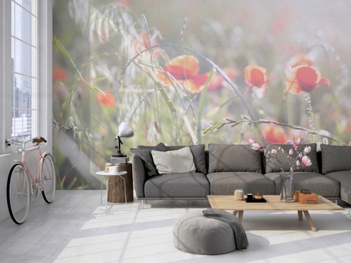 Die Fototapete Mohn Blumen im Sonnenlicht auf einer großen Wand im Loft tapeziert. Die Fototapete Mohn Blumen im Sonnenlicht wird individuell auf Deine Wand angepasst.