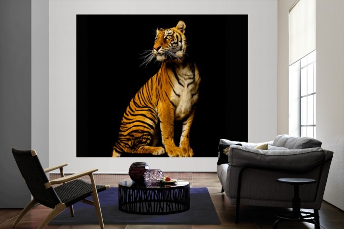 Die Fototapete Tiger, Fotografie by Mark Laita als große Bildtapete im Wohnzimmer. Als Bildtapete ist die Fototapete Tiger, Fotografie by Mark Laita ein besonderes Highlight auf Vliestapete.