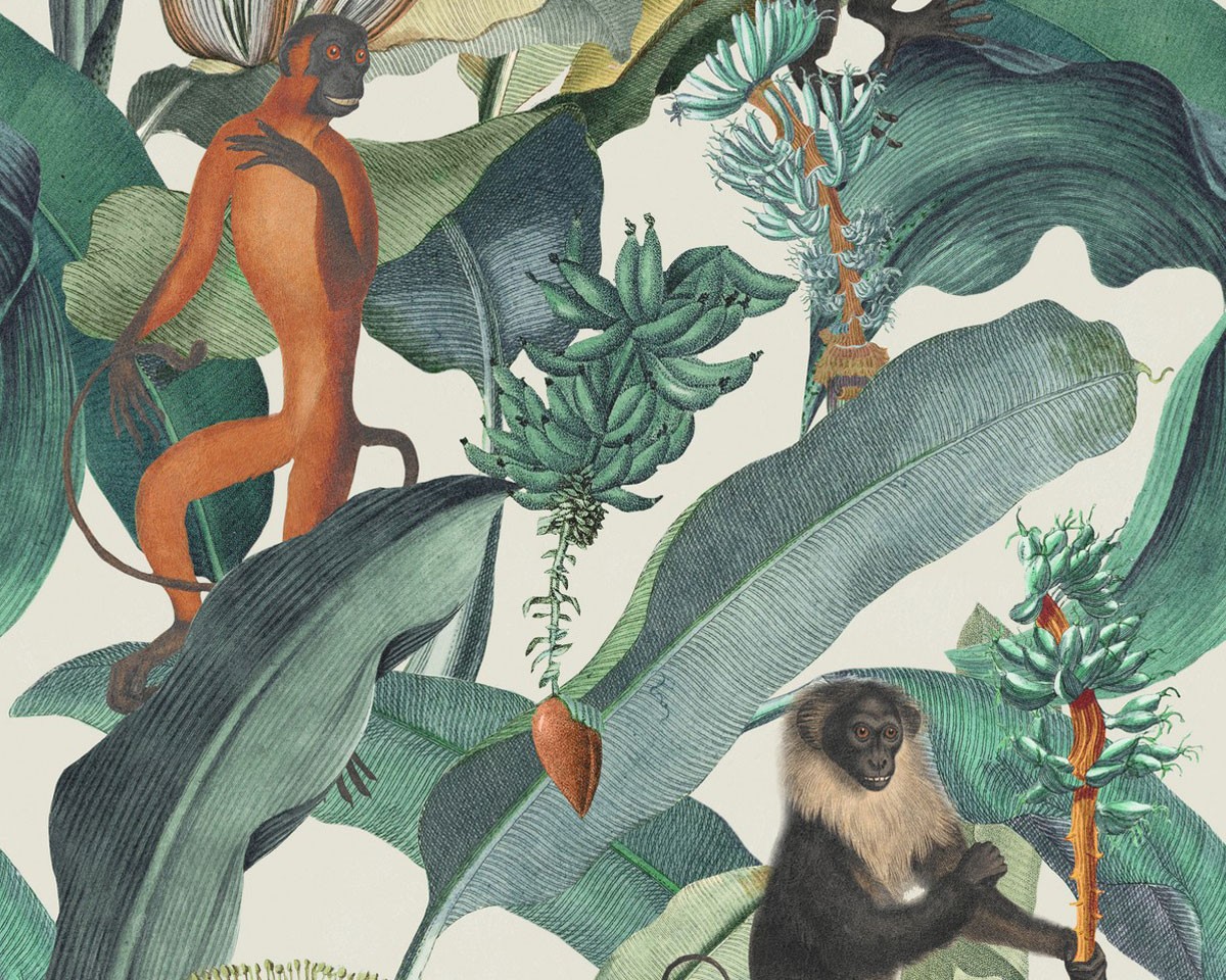 Kingston Monkeys Wallpaper Col 02 Selected Walls Livingwalls