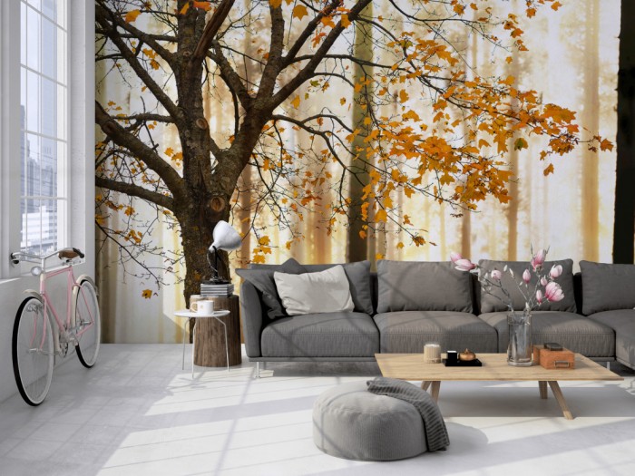 Die Fototapete Baum im Herbst bei Sonnenschein auf einer großen Wand im Loft tapeziert. Die Fototapete Baum im Herbst bei Sonnenschein wird individuell auf Deine Wand angepasst.