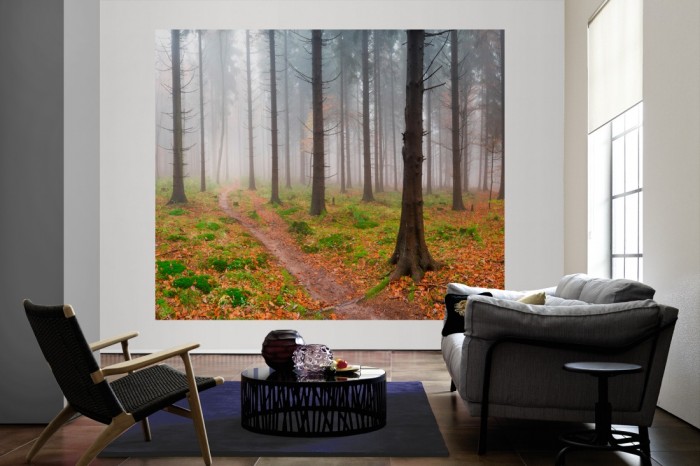 Die Fototapete Herbstwald im Nebel als große Bildtapete im Wohnzimmer. Als Bildtapete ist die Fototapete Herbstwald im Nebel ein besonderes Highlight auf Vliestapete.