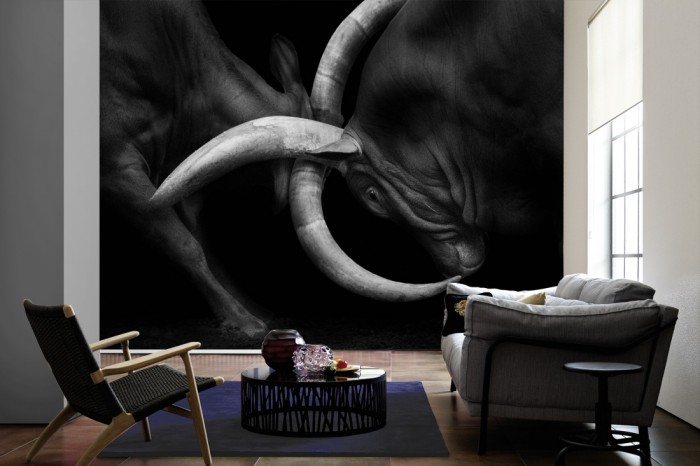 Im Wohnzimmer die Fototapete Stiere beim Kampf, schwarz-weiß auf einer großen Wand tapeziert. Die Fototapete Stiere beim Kampf, schwarz-weiß ist als Vlies-Fototapete im Wohnzimmer leicht zu tapezieren.
