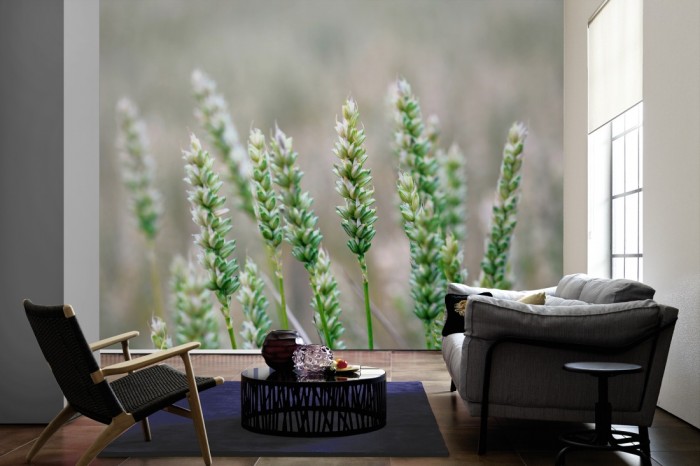 Im Wohnzimmer die Fototapete Weizen im Detail auf einer großen Wand tapeziert. Die Fototapete Weizen im Detail ist als Vlies-Fototapete im Wohnzimmer leicht zu tapezieren.