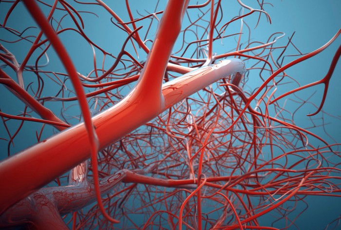 Die Fototapete Blutbahn, der menschliche Körper, eine Vlies-Fototapete bei Livingwalls Cologne online kaufen. Die Fototapete Blutbahn, der menschliche Körper ist eine Fototapete auf Maß.