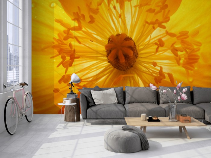 Die Fototapete Mohn Blume in Gelb auf einer großen Wand im Loft tapeziert. Die Fototapete Mohn Blume in Gelb wird individuell auf Deine Wand angepasst.