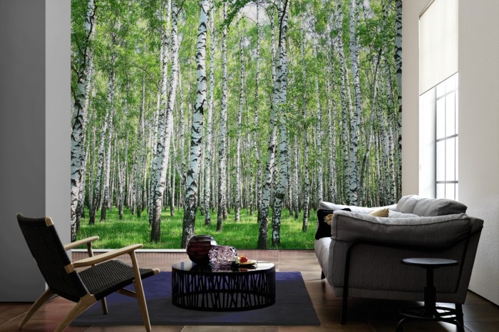 Im Wohnzimmer die Fototapete Birkenwald im Sonnenschein auf einer großen Wand tapeziert. Die Fototapete Birkenwald im Sonnenschein ist als Vlies-Fototapete im Wohnzimmer leicht zu tapezieren.