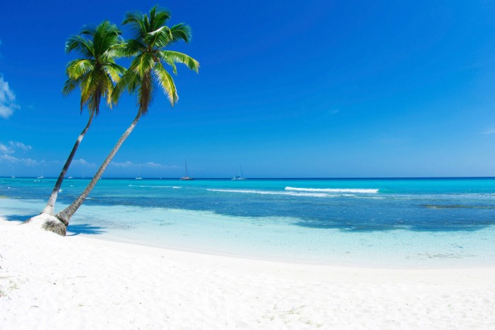 Die Fototapete Strand mit Palmen auf Jamaika, eine Vlies-Fototapete bei Livingwalls Cologne online kaufen. Die Fototapete Strand mit Palmen auf Jamaika ist eine Fototapete auf Maß.