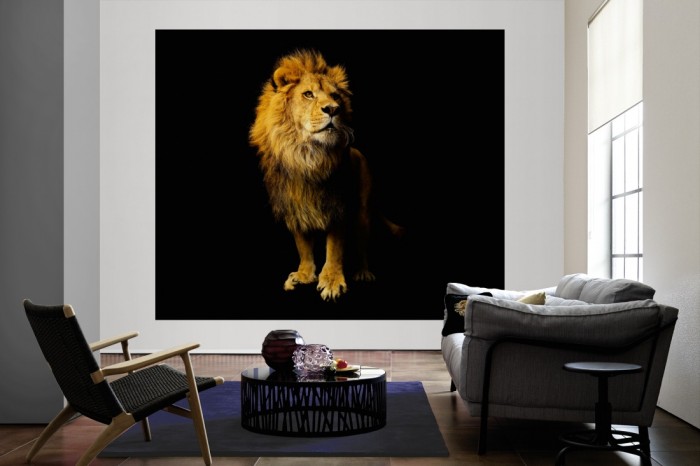 Die Fototapete Löwe, Fotografie by Mark Laita als große Bildtapete im Wohnzimmer. Als Bildtapete ist die Fototapete Löwe, Fotografie by Mark Laita ein besonderes Highlight auf Vliestapete.