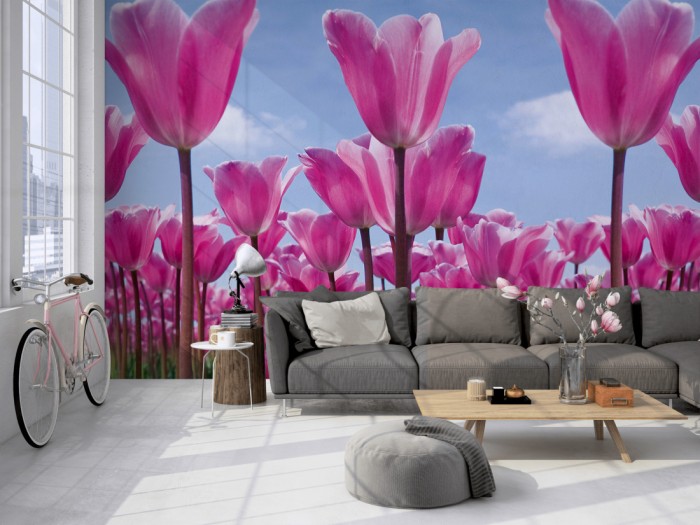 Die Fototapete Tulpen in Pink, Tulpenfeld auf einer großen Wand im Loft tapeziert. Die Fototapete Tulpen in Pink, Tulpenfeld wird individuell auf Deine Wand angepasst.