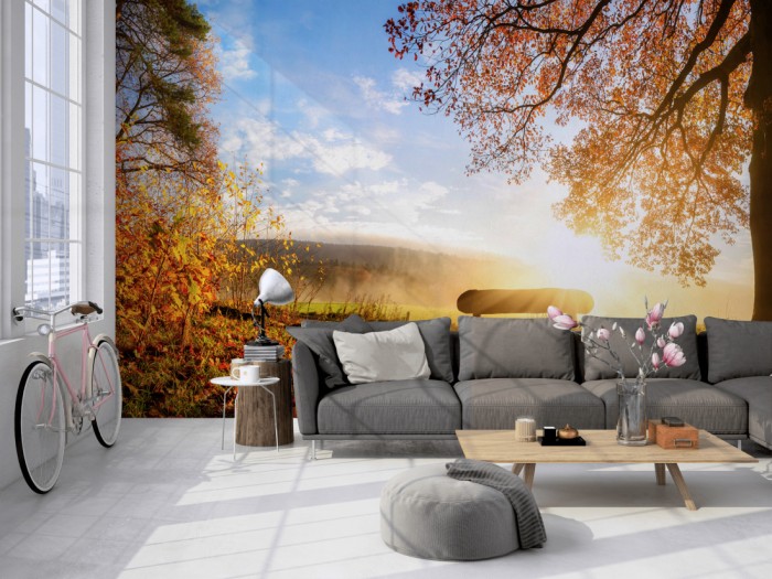 Die Fototapete Wald am Herbstmorgen auf einer großen Wand im Loft tapeziert. Die Fototapete Wald am Herbstmorgen wird individuell auf Deine Wand angepasst.