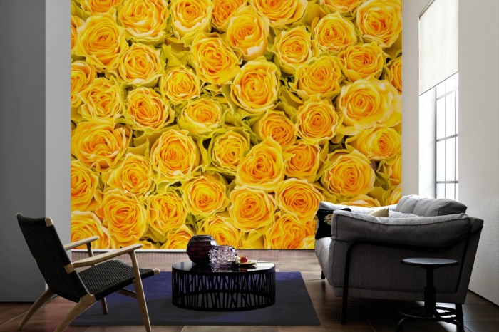 Im Wohnzimmer die Fototapete Rosen in gelb, Blütenmeer auf einer großen Wand tapeziert. Die Fototapete Rosen in gelb, Blütenmeer ist als Vlies-Fototapete im Wohnzimmer leicht zu tapezieren.