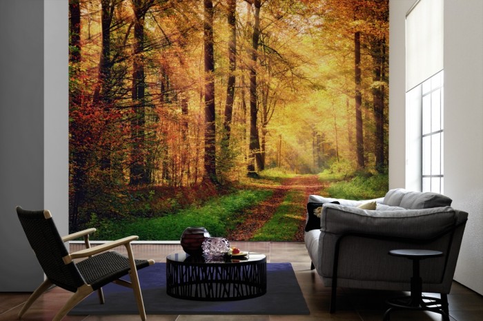 Im Wohnzimmer die Fototapete Waldweg im Herbst auf einer großen Wand tapeziert. Die Fototapete Waldweg im Herbst ist als Vlies-Fototapete im Wohnzimmer leicht zu tapezieren.