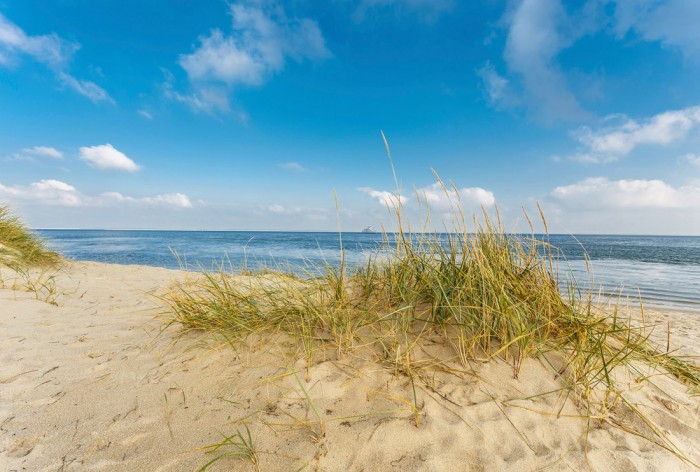 Die Fototapete Sylt, Düne am Meer bei Sonnenschein, eine Vlies-Fototapete bei Livingwalls Cologne online kaufen. Die Fototapete Sylt, Düne am Meer bei Sonnenschein ist eine Fototapete auf Maß.