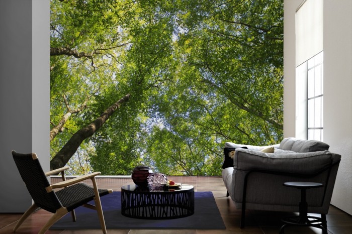 Im Wohnzimmer die Fototapete Baumkronen im Laubwald auf einer großen Wand tapeziert. Die Fototapete Baumkronen im Laubwald ist als Vlies-Fototapete im Wohnzimmer leicht zu tapezieren.