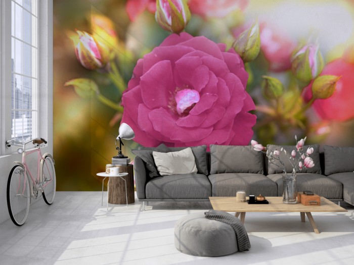 Die Fototapete Rose im Sonnenschein auf einer großen Wand im Loft tapeziert. Die Fototapete Rose im Sonnenschein wird individuell auf Deine Wand angepasst.