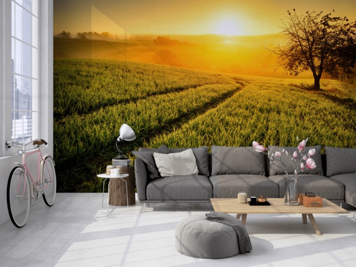 Die Fototapete Landschaft Idylle bei Sonnenaufgang auf einer großen Wand im Loft tapeziert. Die Fototapete Landschaft Idylle bei Sonnenaufgang wird individuell auf Deine Wand angepasst.