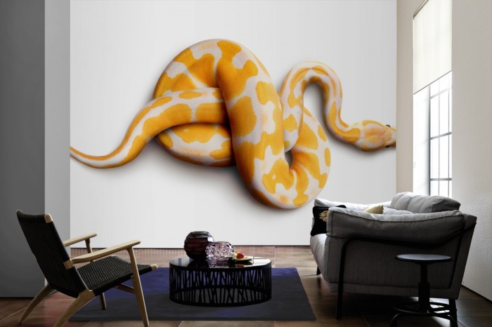 Im Wohnzimmer die Fototapete Schlange Albino-Python, Fotografie by Mark Laita auf einer großen Wand tapeziert. Die Fototapete Schlange Albino-Python, Fotografie by Mark Laita ist als Vlies-Fototapete im Wohnzimmer leicht zu tapezieren.