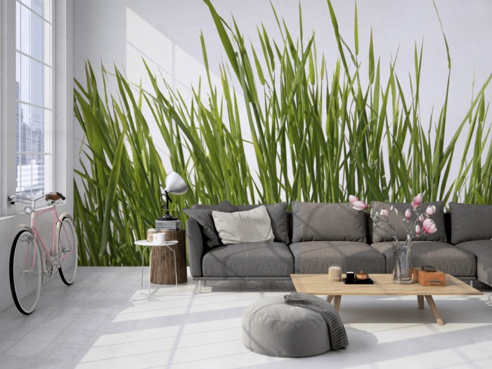 Die Fototapete Gras Detail auf einer großen Wand im Loft tapeziert. Die Fototapete Gras Detail wird individuell auf Deine Wand angepasst.