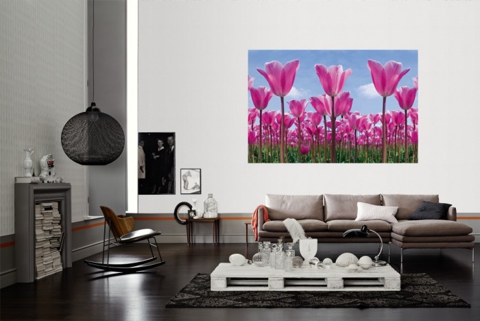 Die Fototapete Tulpen in Pink, Tulpenfeld als Wandbild im Wohnzimmer. Die Vlies-Fototapete Tulpen in Pink, Tulpenfeld verschönert als Wandbild Deine Wand.