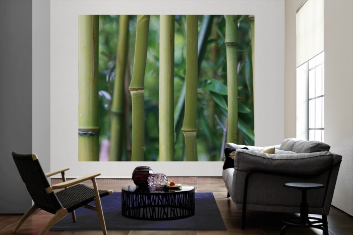 Die Fototapete Bambus im Detail als große Bildtapete im Wohnzimmer. Als Bildtapete ist die Fototapete Bambus im Detail ein besonderes Highlight auf Vliestapete.