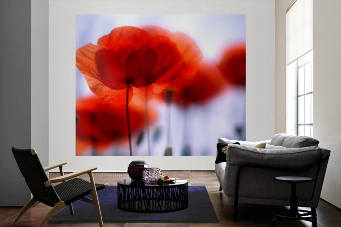 Die Fototapete Mohn Blumen als große Bildtapete im Wohnzimmer. Als Bildtapete ist die Fototapete Mohn Blumen ein besonderes Highlight auf Vliestapete.