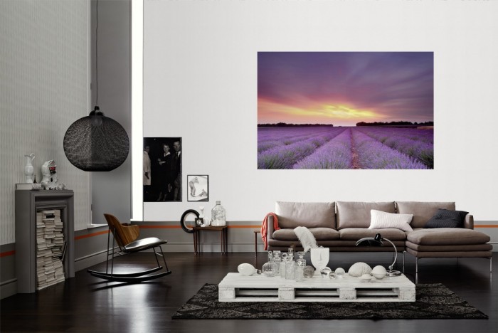 Die Fototapete Lavendel Feld bei Sonnenuntergang, Frankreich als Wandbild im Wohnzimmer. Die Vlies-Fototapete Lavendel Feld bei Sonnenuntergang, Frankreich verschönert als Wandbild Deine Wand.