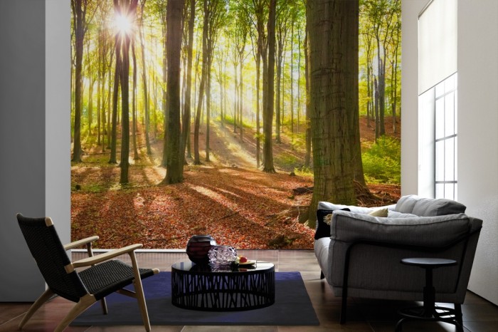 Im Wohnzimmer die Fototapete Wald im Sonnenlicht auf einer großen Wand tapeziert. Die Fototapete Wald im Sonnenlicht ist als Vlies-Fototapete im Wohnzimmer leicht zu tapezieren.