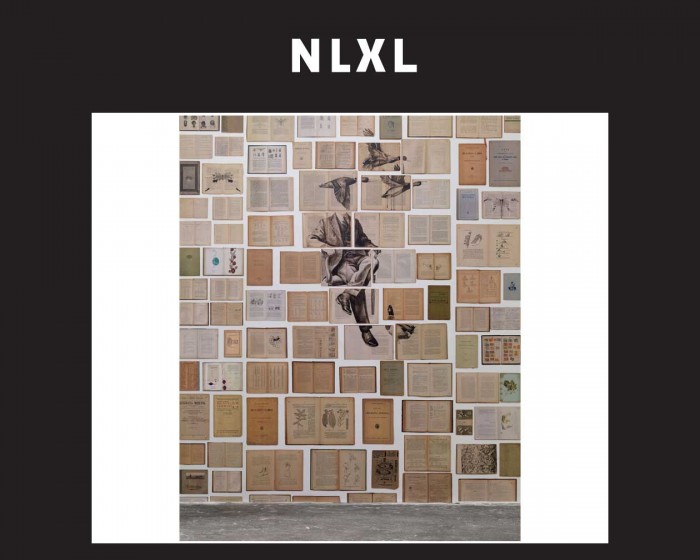 Die NLXL Tapete EKA-01 Biblioteca von Ekaterina Panikanova tapeziert an einer Wand.