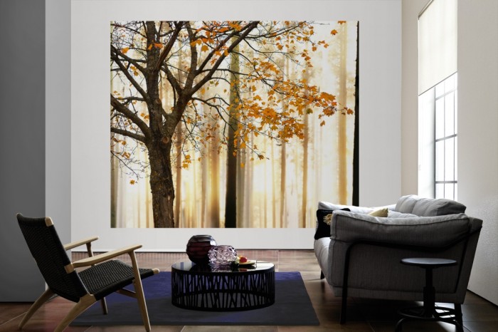 Die Fototapete Baum im Herbst bei Sonnenschein als große Bildtapete im Wohnzimmer. Als Bildtapete ist die Fototapete Baum im Herbst bei Sonnenschein ein besonderes Highlight auf Vliestapete.