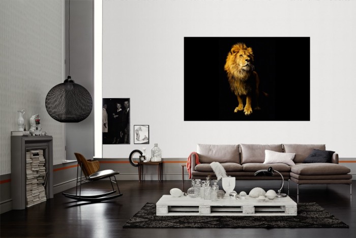 Die Fototapete Löwe, Fotografie by Mark Laita als Wandbild im Wohnzimmer. Die Vlies-Fototapete Löwe, Fotografie by Mark Laita verschönert als Wandbild Deine Wand.