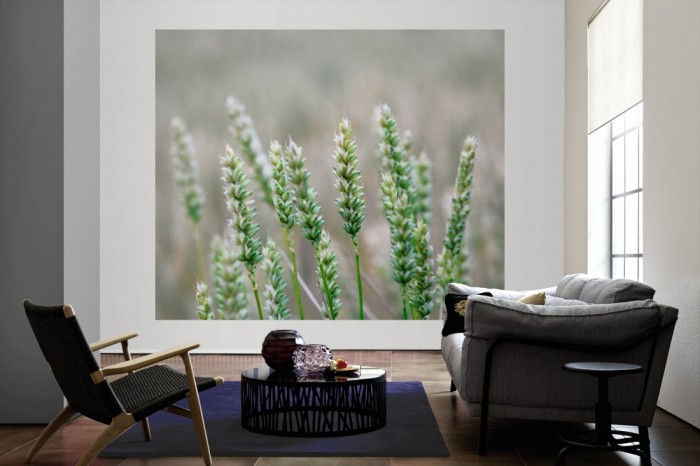 Die Fototapete Weizen im Detail als große Bildtapete im Wohnzimmer. Als Bildtapete ist die Fototapete Weizen im Detail ein besonderes Highlight auf Vliestapete.