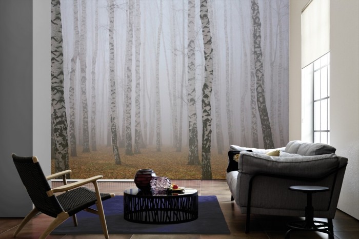 Im Wohnzimmer die Fototapete Birkenwald im Nebel auf einer großen Wand tapeziert. Die Fototapete Birkenwald im Nebel ist als Vlies-Fototapete im Wohnzimmer leicht zu tapezieren.