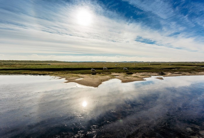 Die Fototapete Landschaft mit Schafen im Sonnenschein, eine Vlies-Fototapete bei Livingwalls Cologne online kaufen. Die Fototapete Landschaft mit Schafen im Sonnenschein ist eine Fototapete auf Maß.