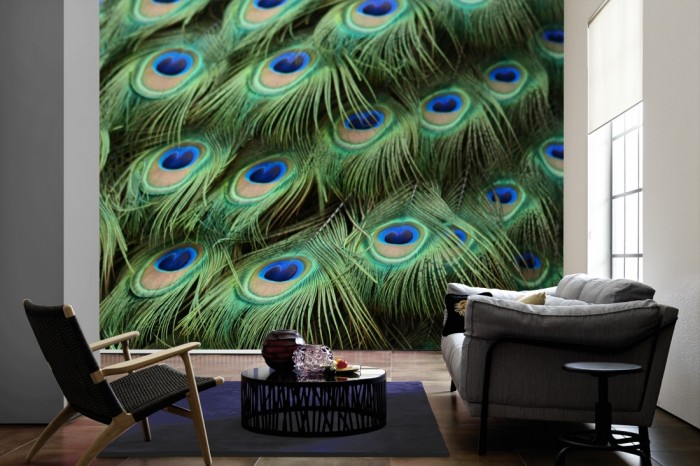 Im Wohnzimmer die Design-Fototapete Federn vom Pfau, Pfauenfedern auf einer großen Wand tapeziert. Die Design-Fototapete Federn vom Pfau, Pfauenfedern ist als Vlies-Fototapete im Wohnzimmer leicht zu tapezieren.