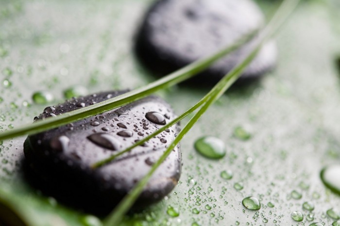 Die Fototapete Wellness, Wellness-Steine auf Blatt, eine Vlies-Fototapete bei Livingwalls Cologne online kaufen. Die Fototapete Wellness, Wellness-Steine auf Blatt ist eine Fototapete auf Maß.