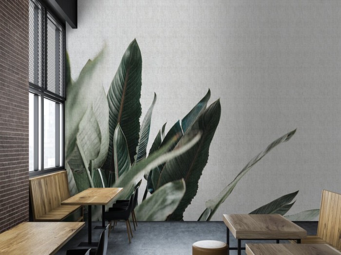 Little Urban Jungle Wallpaper