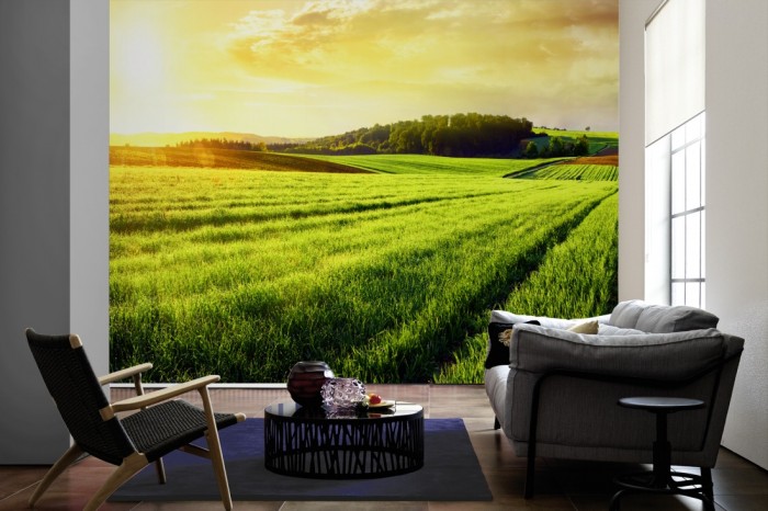 Im Wohnzimmer die Fototapete Gras Landschaft bei Sonnenaufgang auf einer großen Wand tapeziert. Die Fototapete Gras Landschaft bei Sonnenaufgang ist als Vlies-Fototapete im Wohnzimmer leicht zu tapezieren.